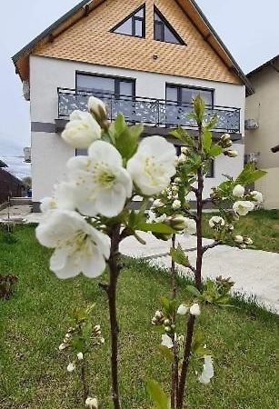 Casuta Noastra - Sulina Hotell Exteriör bild
